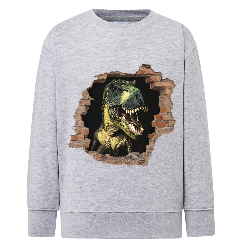Dinosaure - Sweatshirt Enfant et Adulte